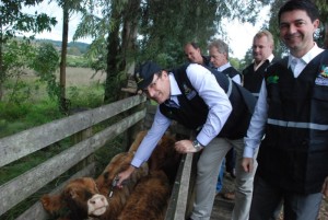 GD_20140501143451maridao2