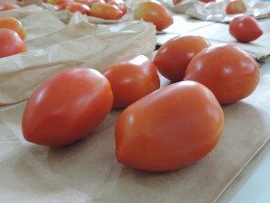 GD_20150212151150tomates1