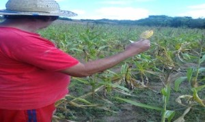 GD_20150430104020cerrito