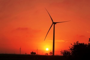 GD_20150520171900campos_neutrais_6