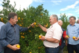 GD_20170525124714p_site_berga