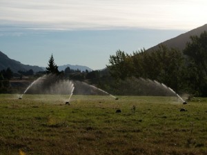02102017_irrigacao_EBC