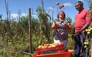 03052016_agricultura-familiar_ebc