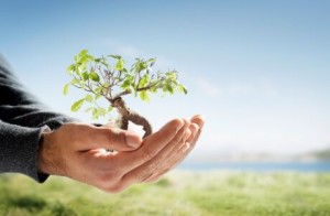 somag-consultoria-ambiental-e-projetos-580
