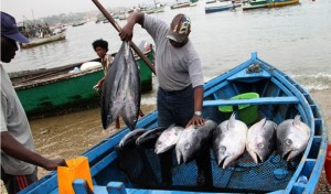pesca-artesanal