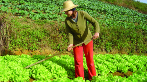 07-mulher_campo1