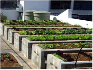 03102018_mini-horta-terraco