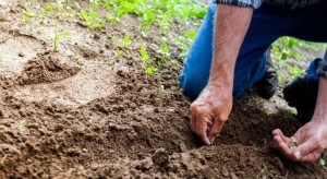 governo-federal-tera-rs-400-milhoes-para-compras-da-agricultura-familiar-em-2019-750x410