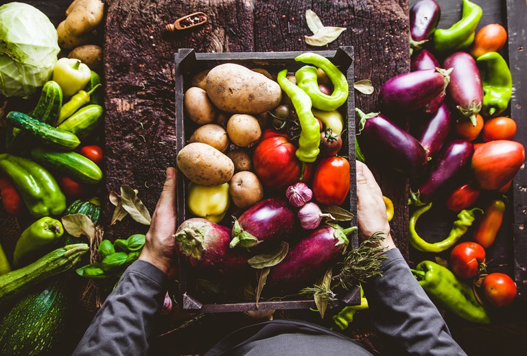 Agricultores familiares de dez estados poderão se inscrever para receber o benefício. - Foto: Banco de imagens