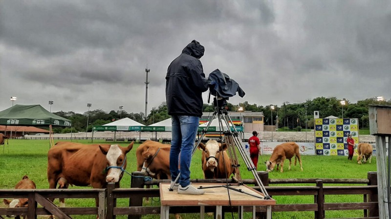 Sem presença de público por conta da pandemia, programação no parque foi transmitida em quatro canais no site da Expointer - Foto: Fernando Dias / Seapdr